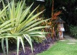 Tropical Landscaping All Landscape Supplies